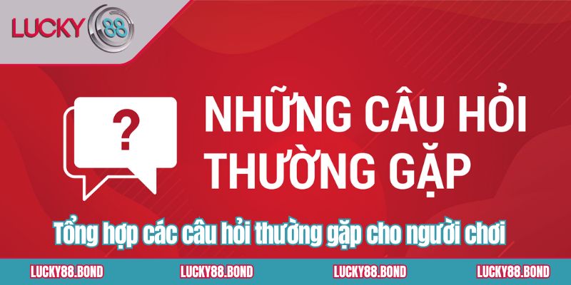 Tổng hợp các câu hỏi thường gặp cho người chơi